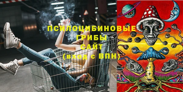 тгк Алексеевка