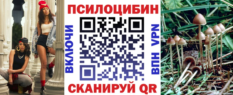Галлюциногенные грибы MAGIC MUSHROOMS  Закаменск 